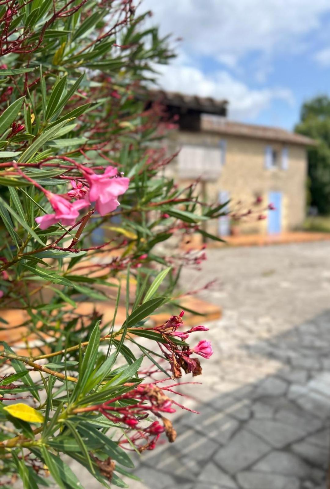 Domaine De Fontsauzine - Gites Et Chambre D'Hotes Genouille  ภายนอก รูปภาพ